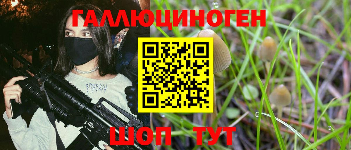 Галлюциногенные грибы Psilocybine cubensis Ухта